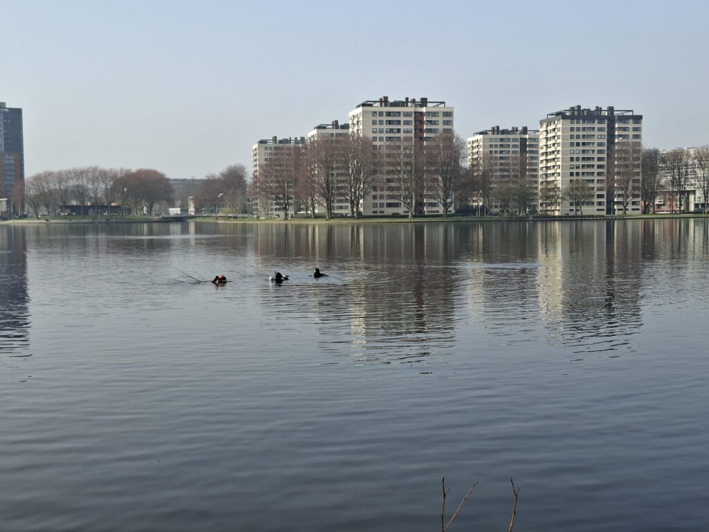 Waar zijn de Murene duikers